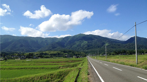 自然豊かな岡山県奈義町の指定農場で健康的に育てています